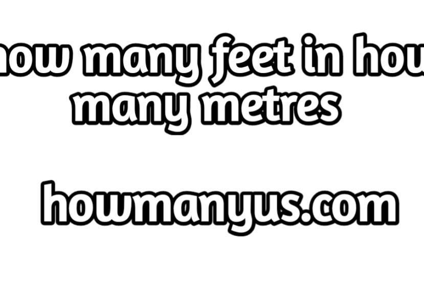 how many feet in a meter Best Explained With Various Example 2024