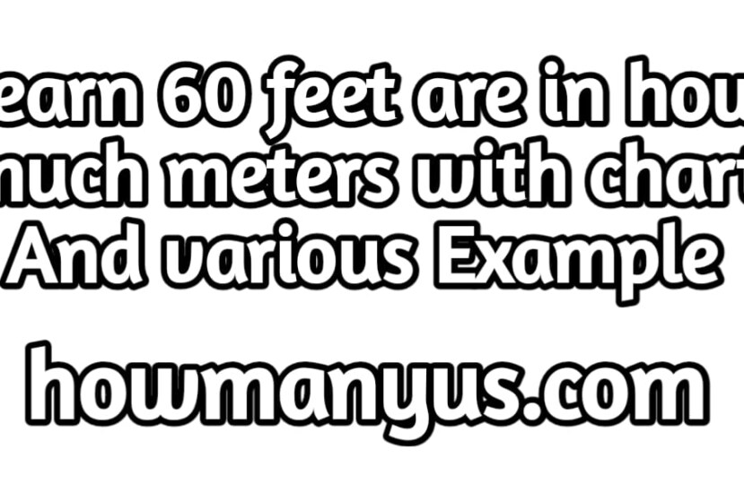 60 Feet to Meters, 60 ft to m best conversion chart 2024