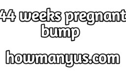 44 weeks pregnant bump Best information