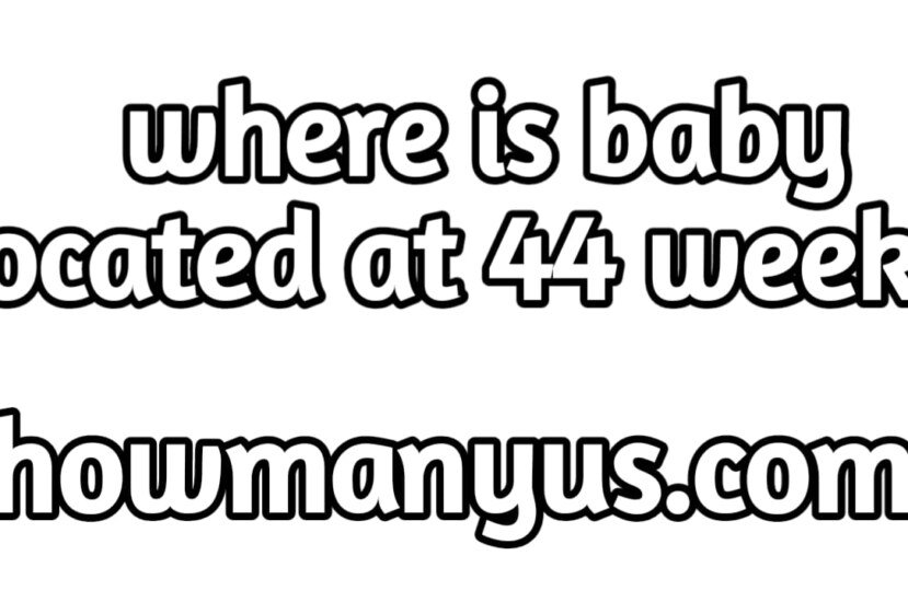 Where is baby located at 44 weeks best information