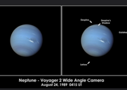 Neptune how many moons does it have? Best Answer 2024