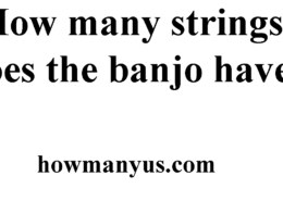 How many strings does the banjo have? Best Answer 2024